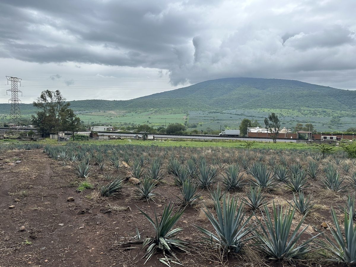 Terreno en Venta Carretera Guadalajara - Ocotlán - foto 4