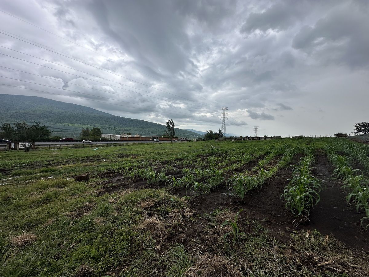 Terreno en Venta Carretera Guadalajara - Ocotlán - foto 5