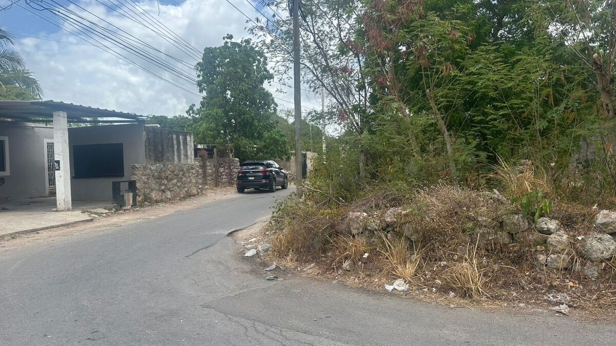 10 de 10