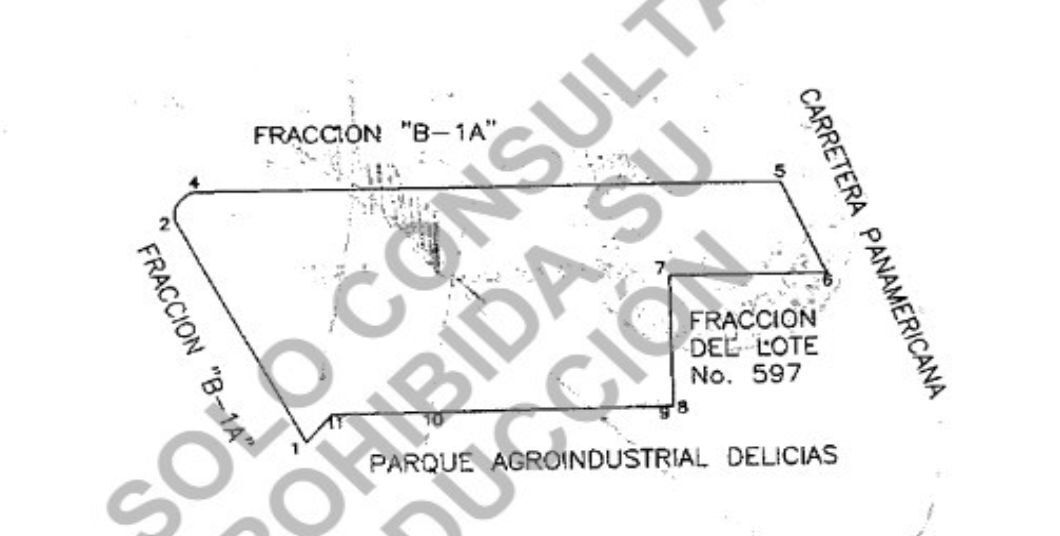6 de 7