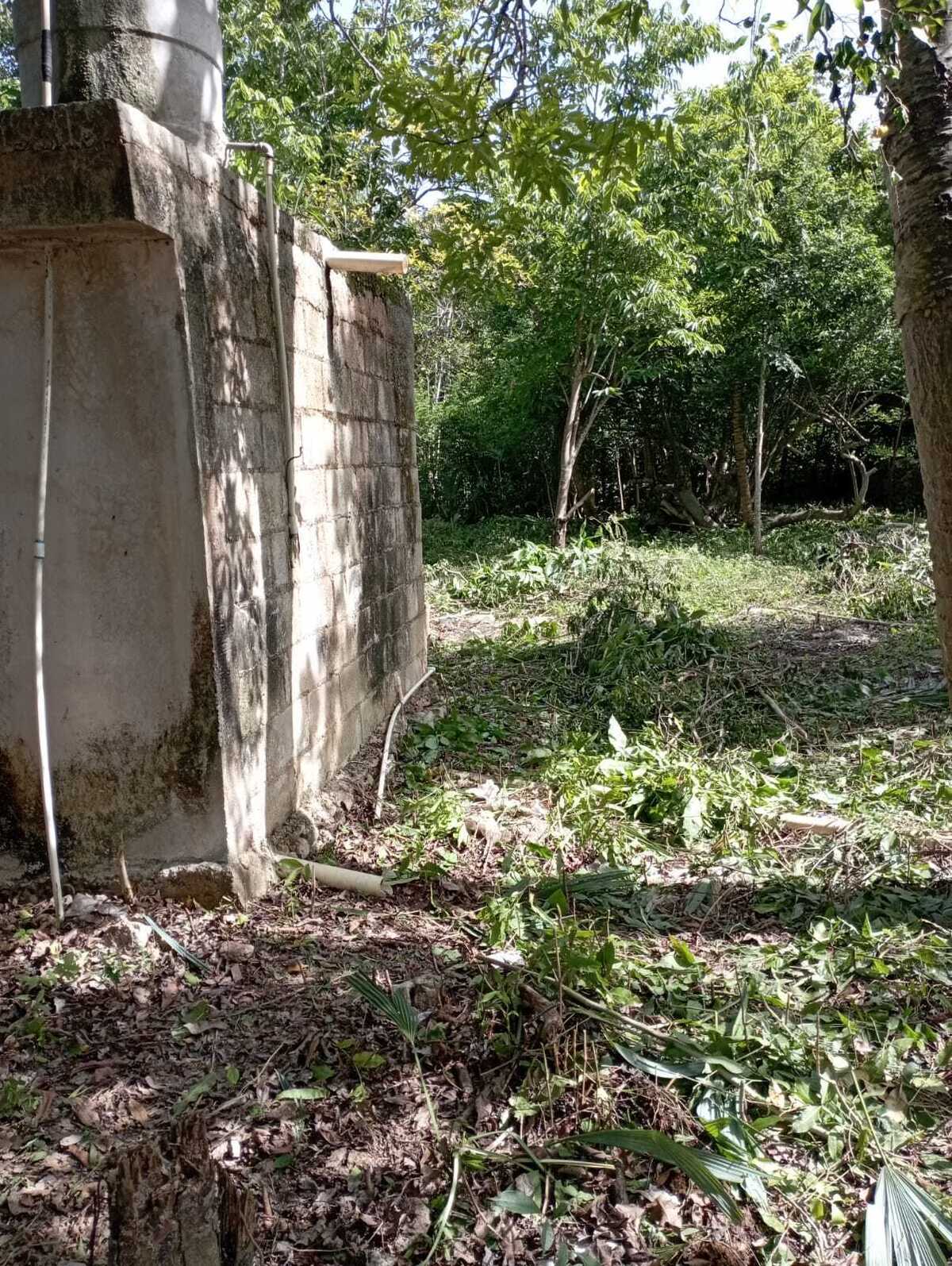 6 de 22