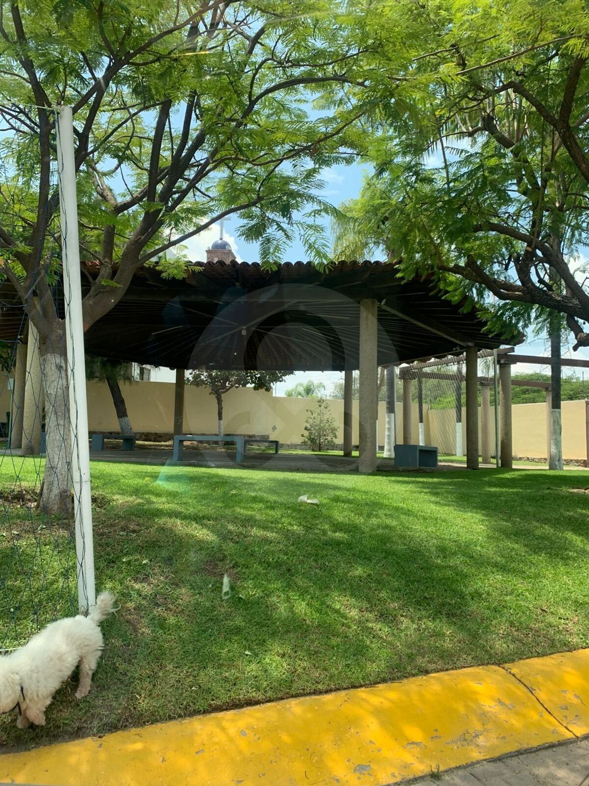 9 de 22
