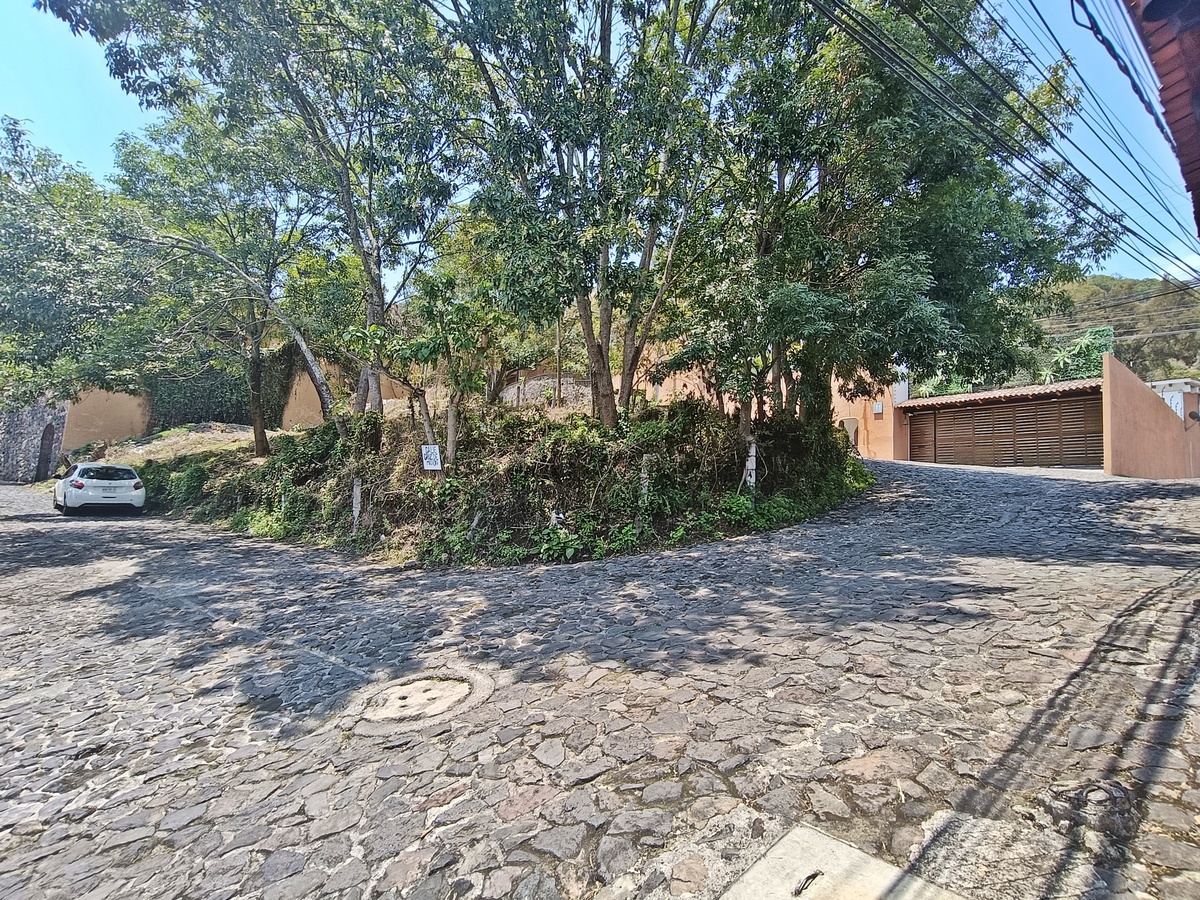 2 de 8