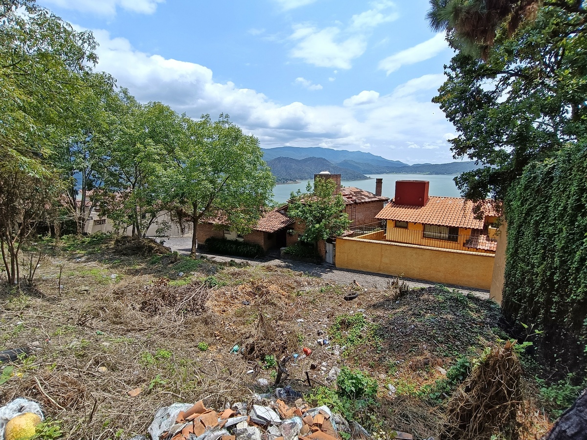 3 de 8