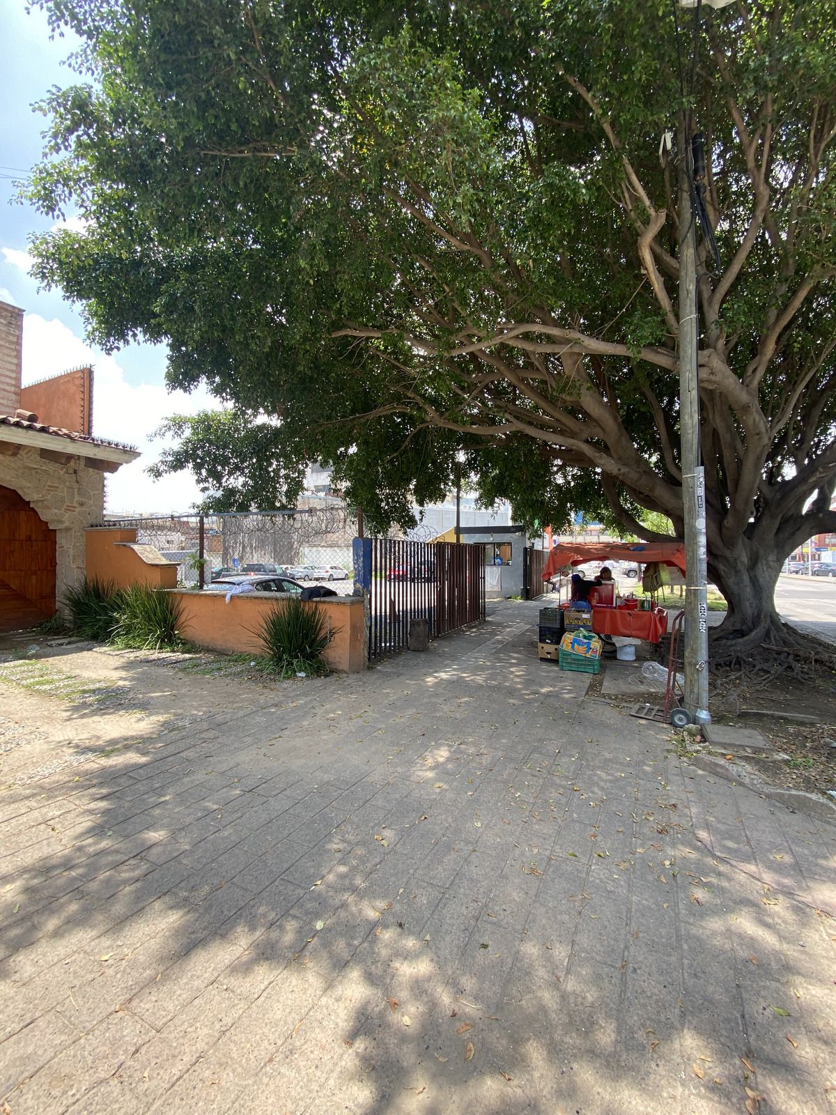 5 de 5
