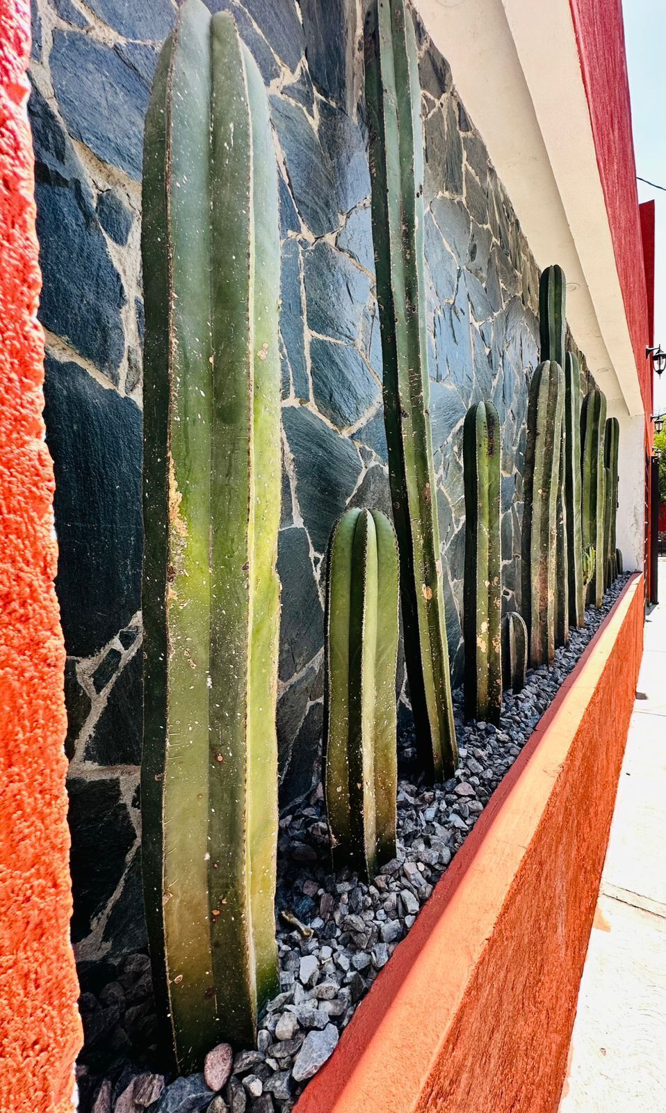 1 de 22
