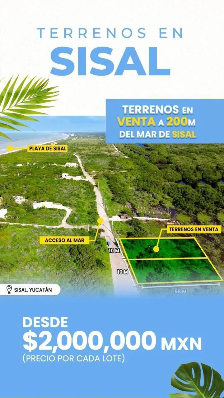 2 de 6