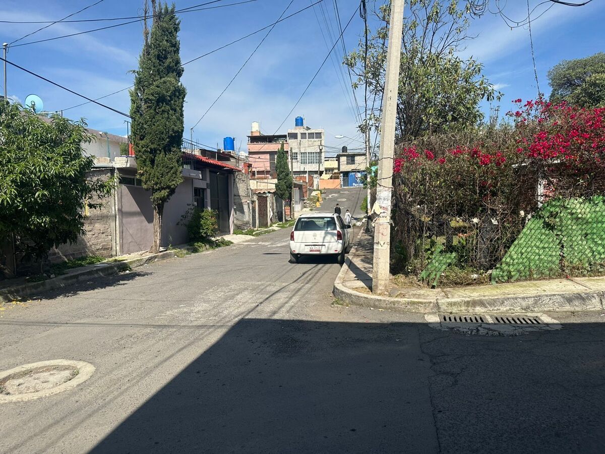 6 de 24