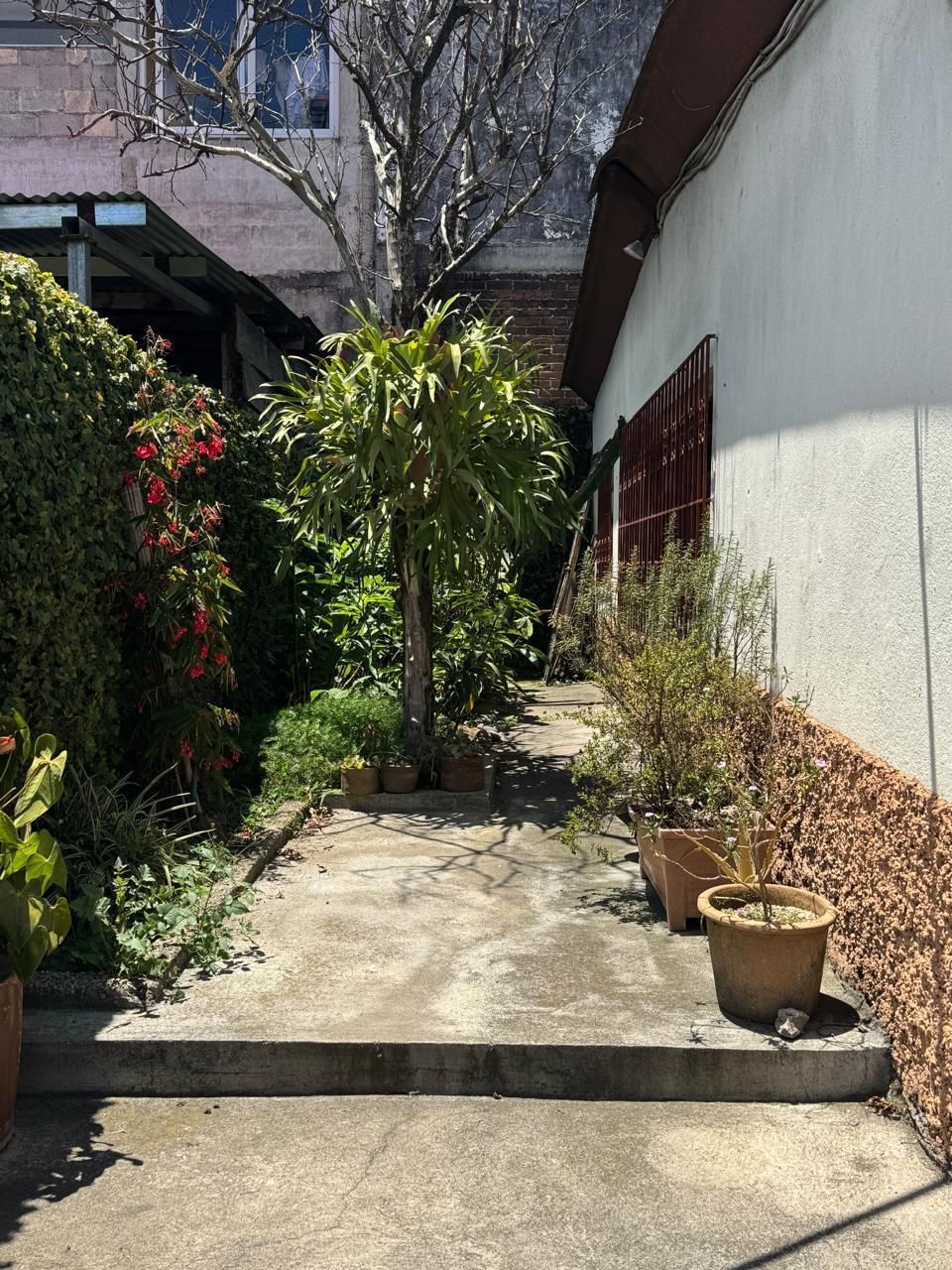 1 of 7: Patio frontal