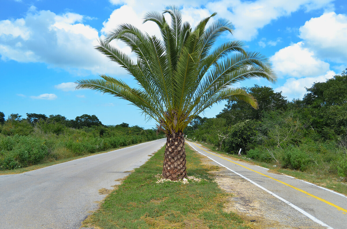 4 de 8
