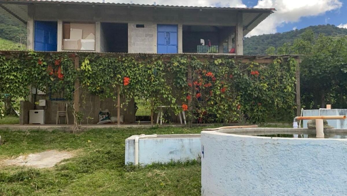 3 de 11