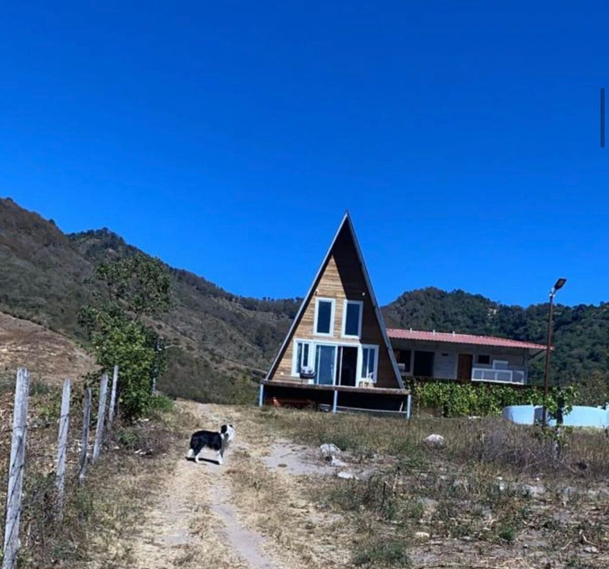5 de 11