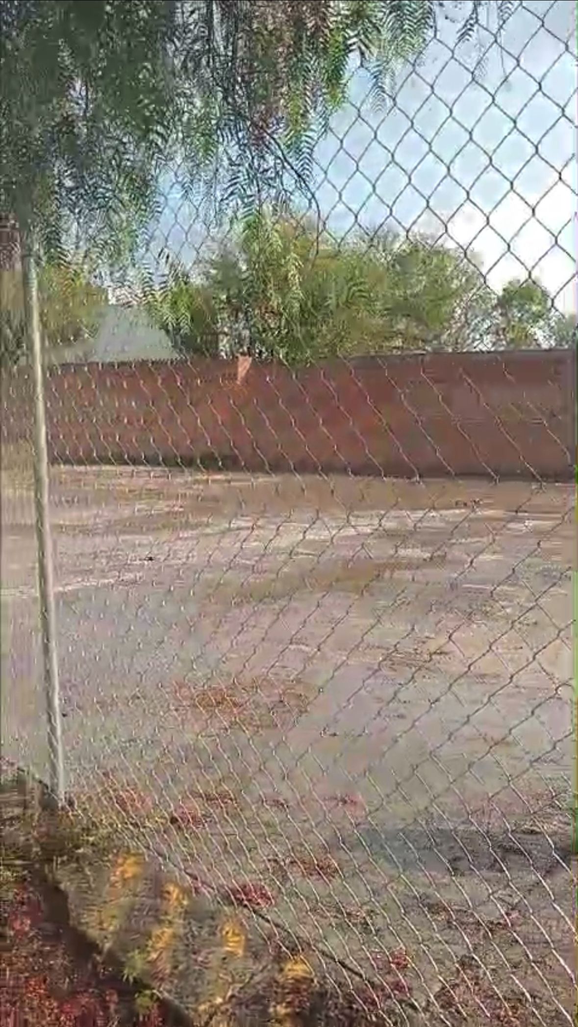 4 of 9