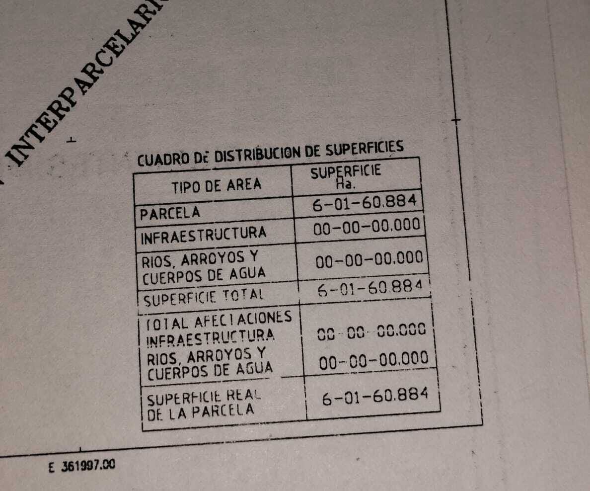4 de 6