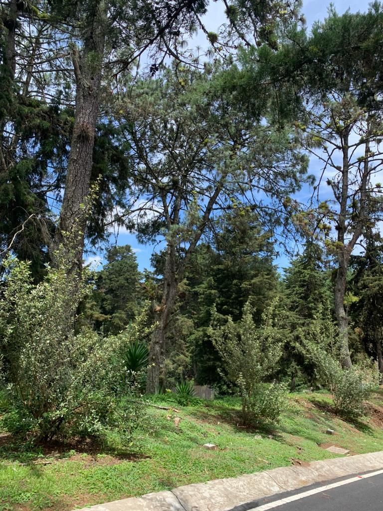 3 de 4