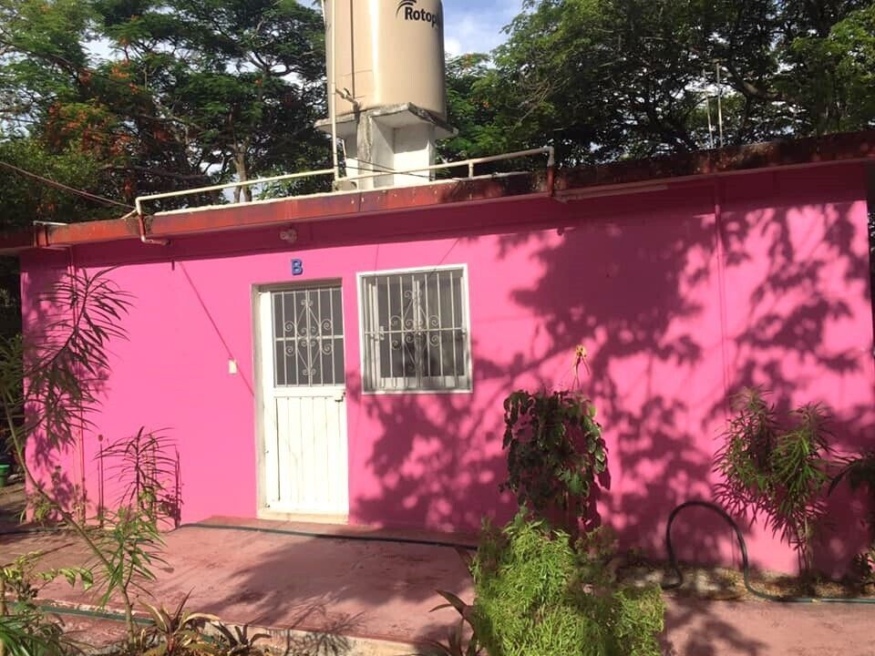 1 de 12