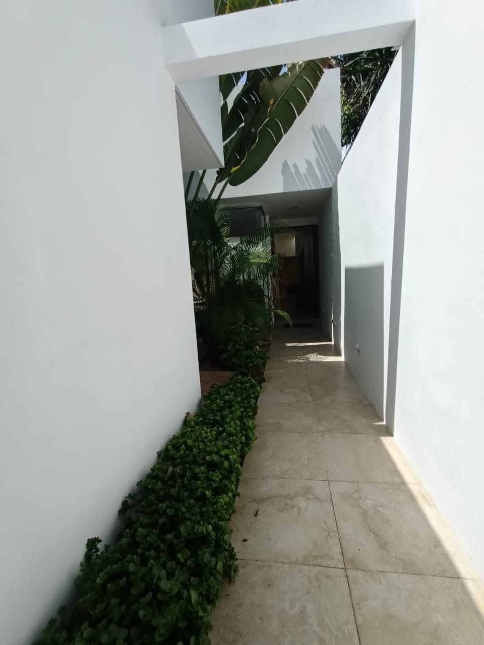 5 de 48