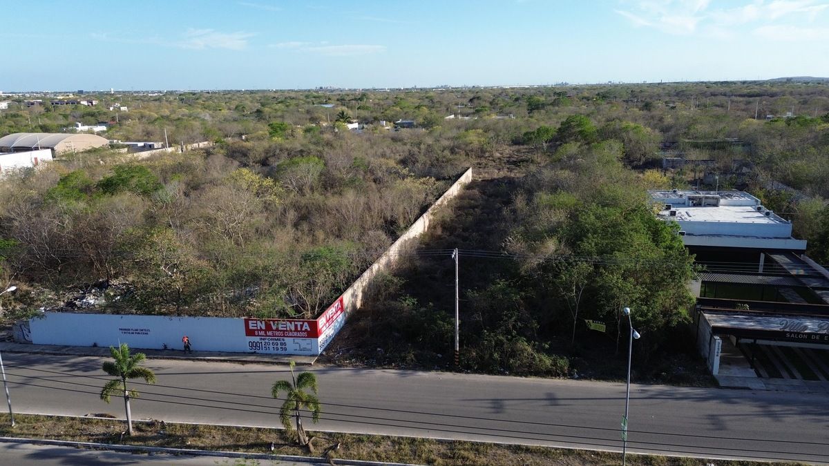 6 de 12