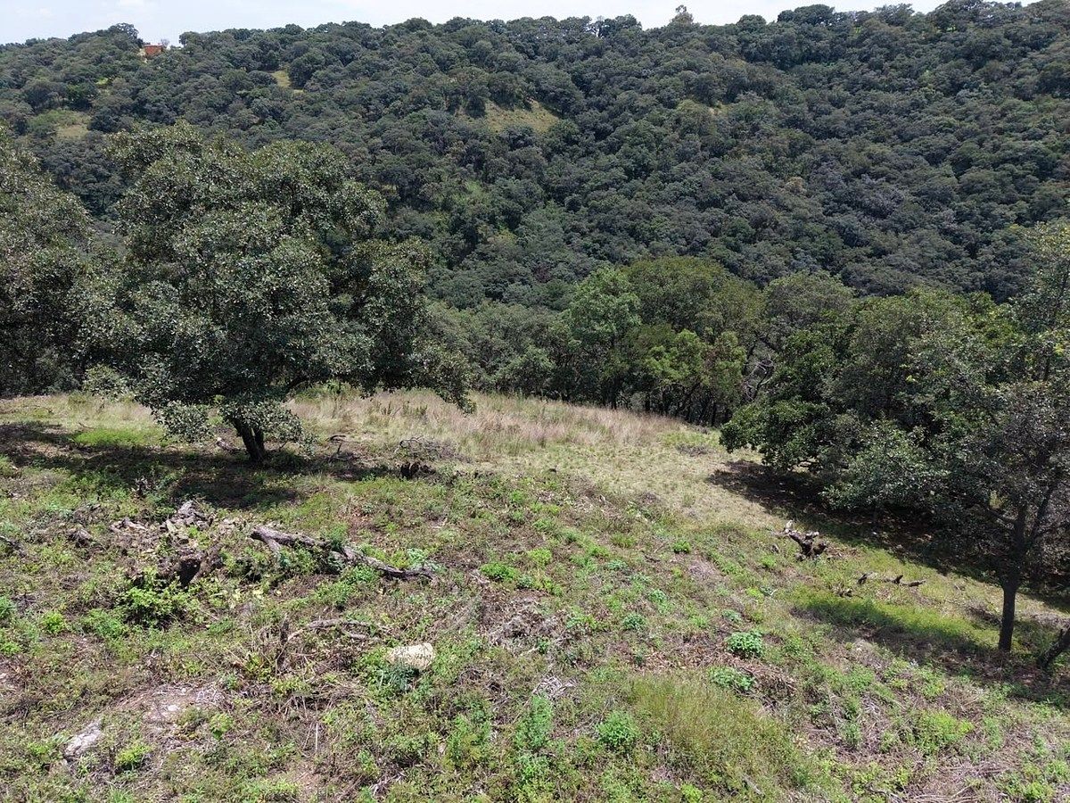 Venda de terreno no Fracc. Residencial Campestre, Lt. 124 MZ11, Villa del Carbón, foto 1 de 6