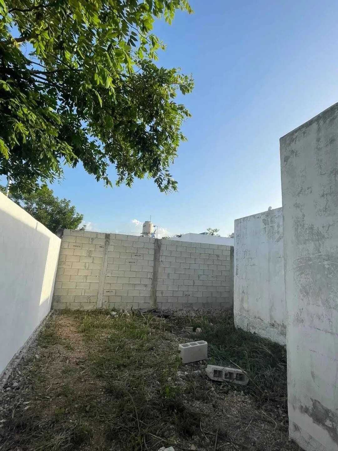 7 de 20
