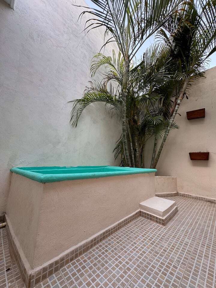 8 de 12