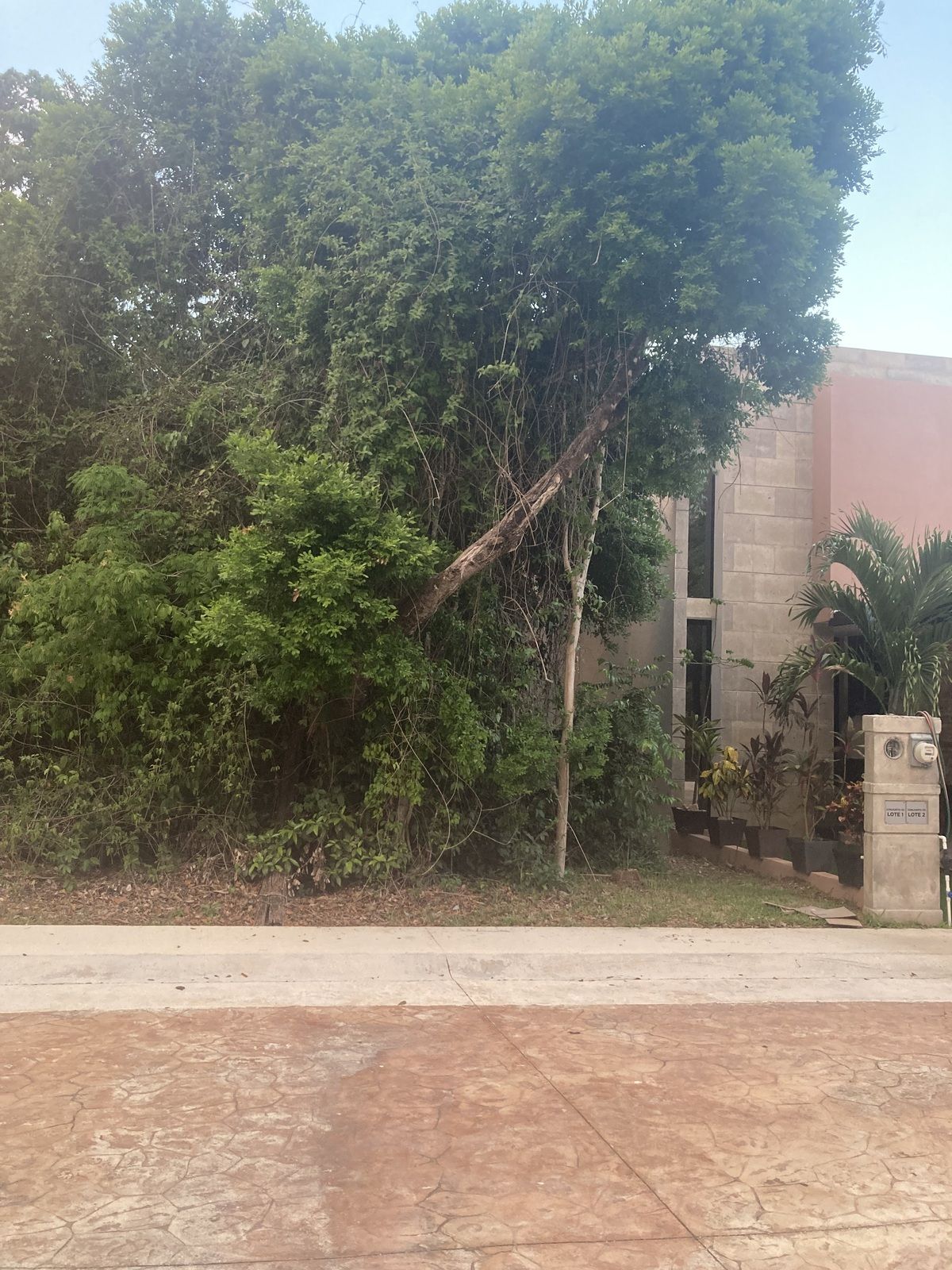 2 de 18