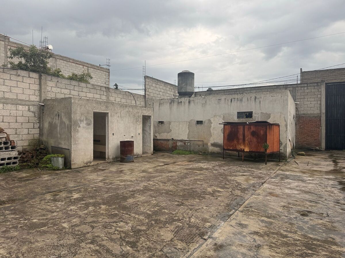 6 de 10
