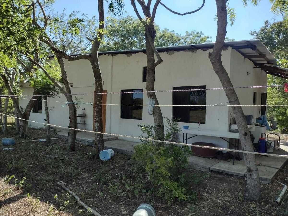 4 de 31