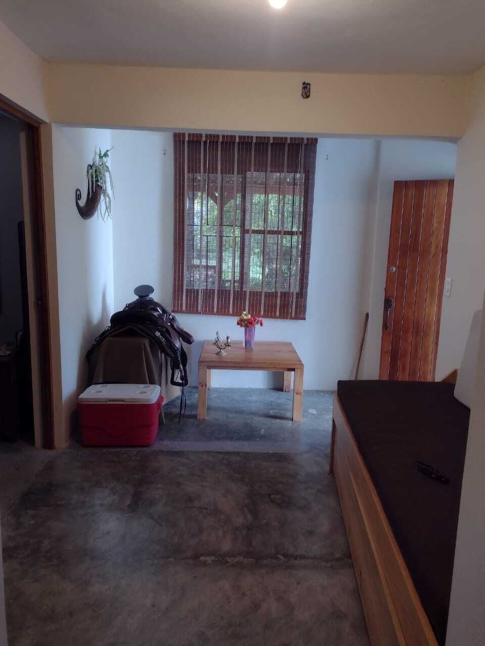 21 de 31