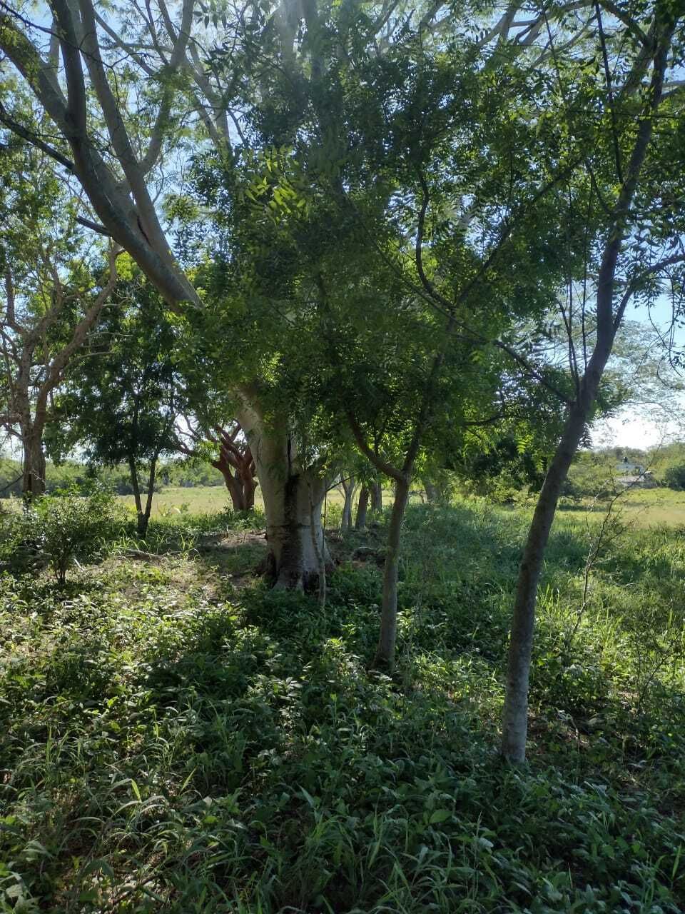 14 de 31