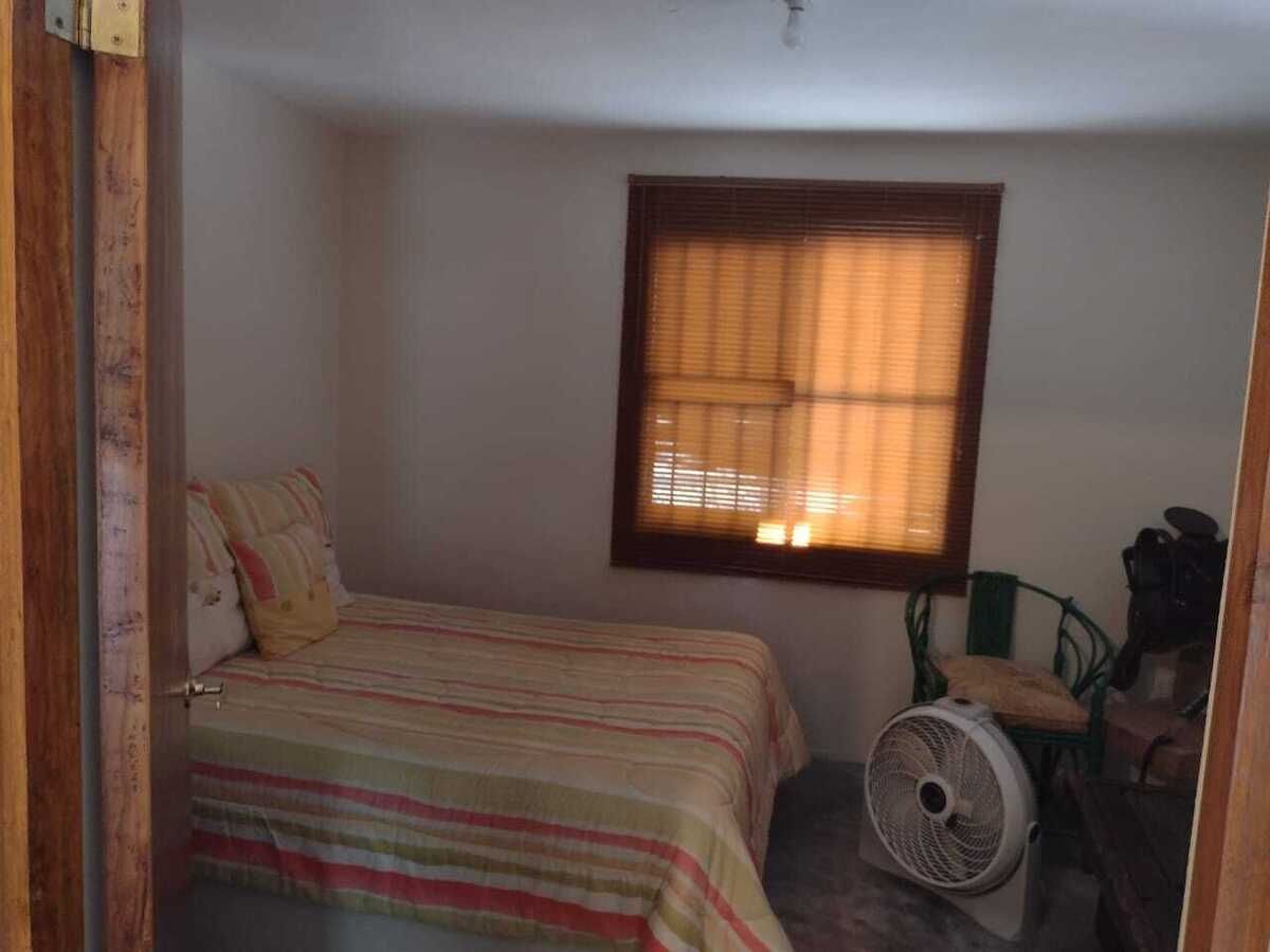 24 de 31