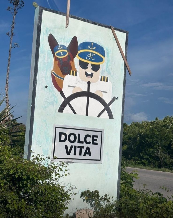 1 de 6