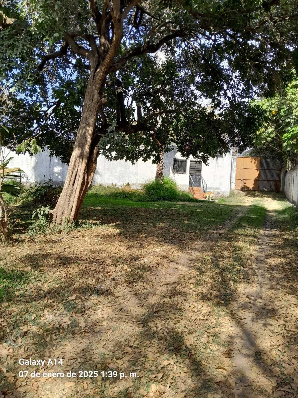 1 de 20