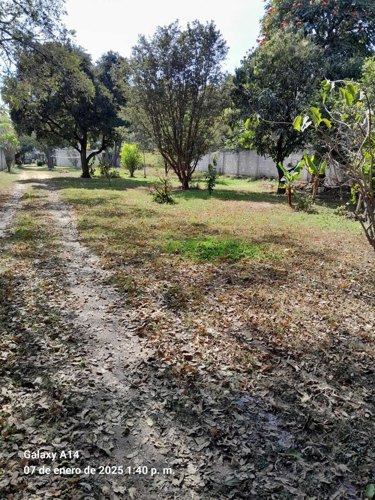 2 de 20