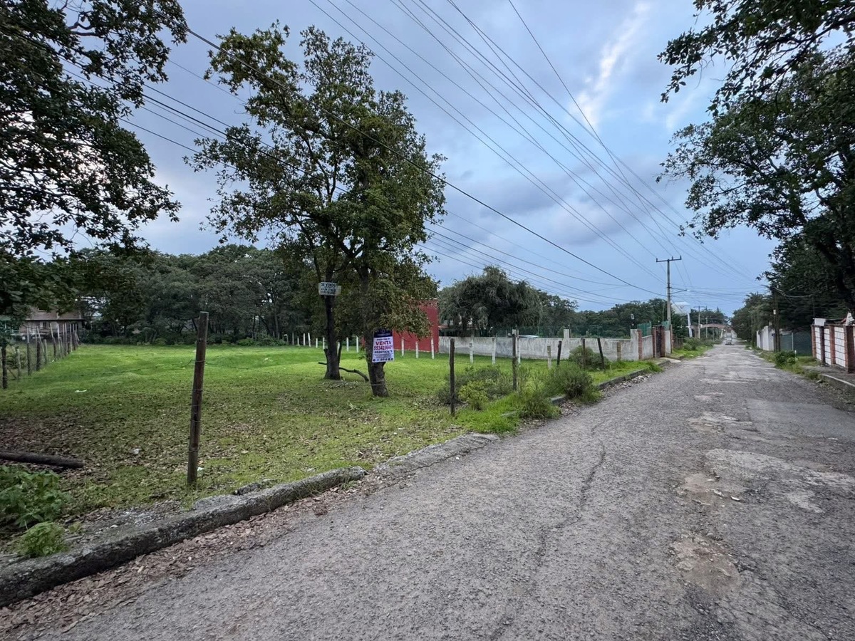 5 de 5
