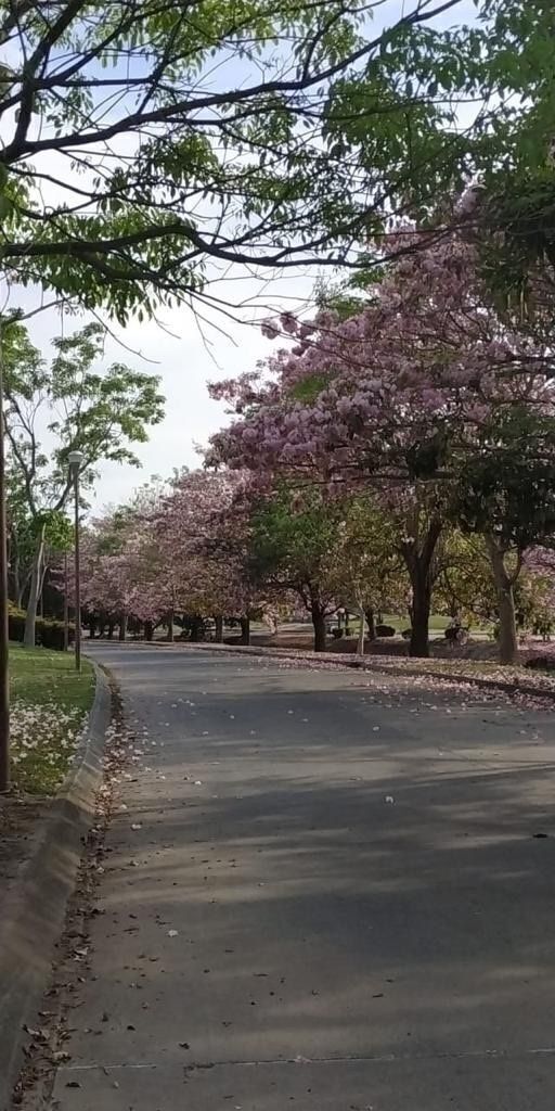 15 de 17
