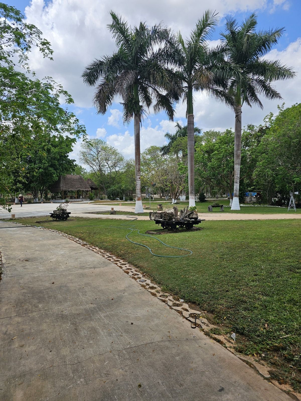 3 de 48