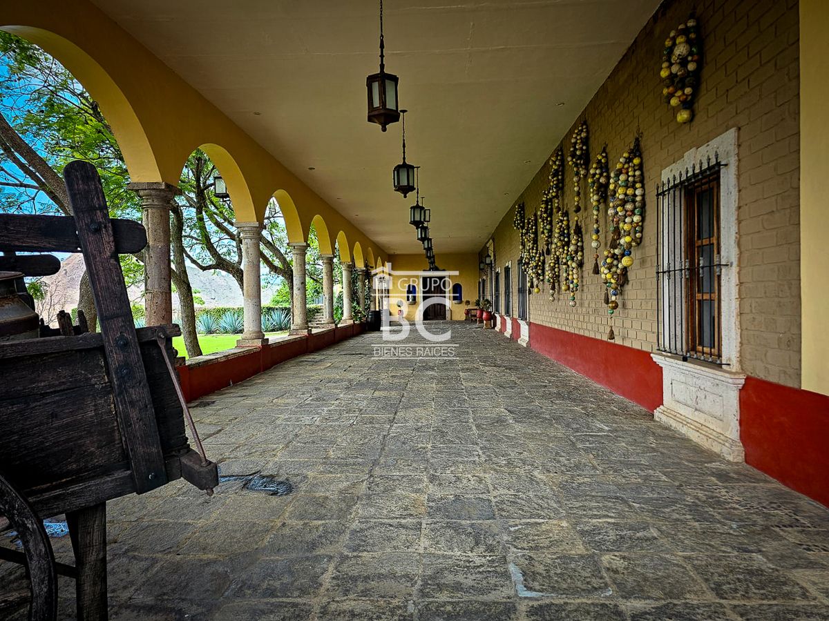 6 de 7