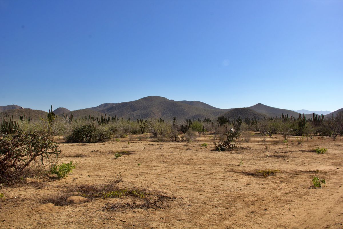 4 de 6: Vista Entorno