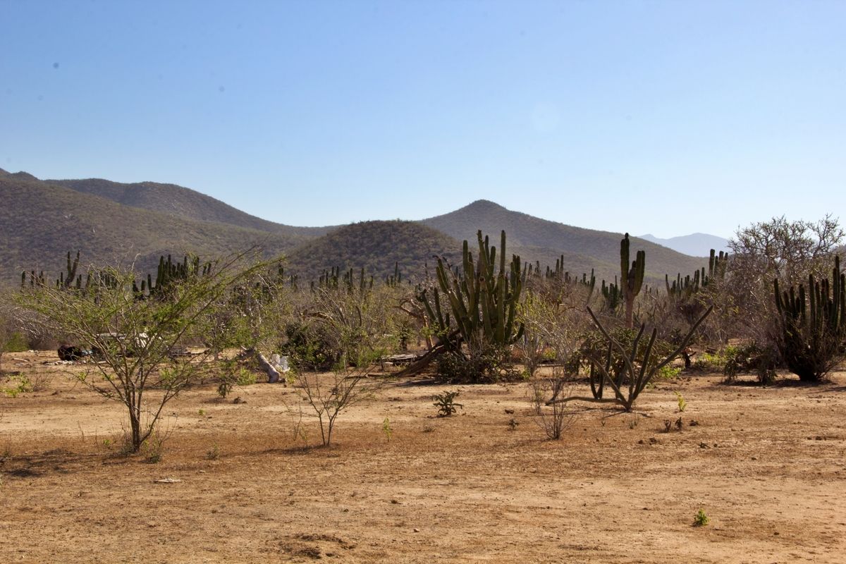 5 de 6: Vista Interior