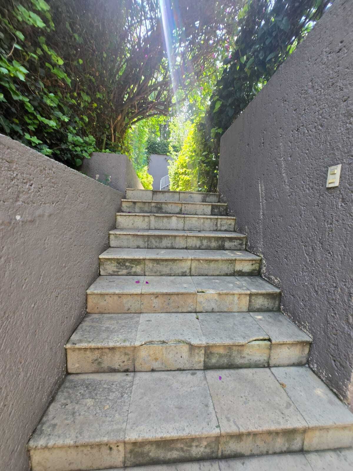 3 de 8