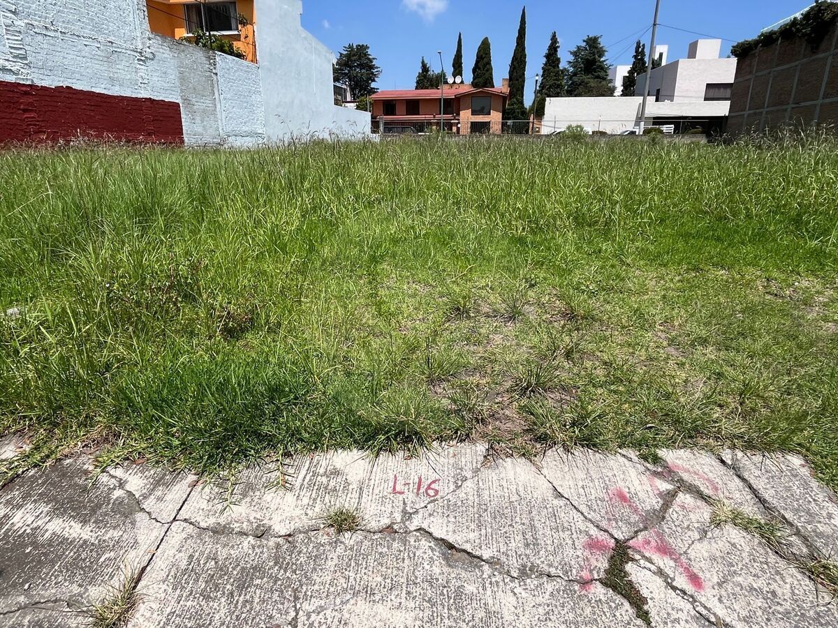 11 de 12