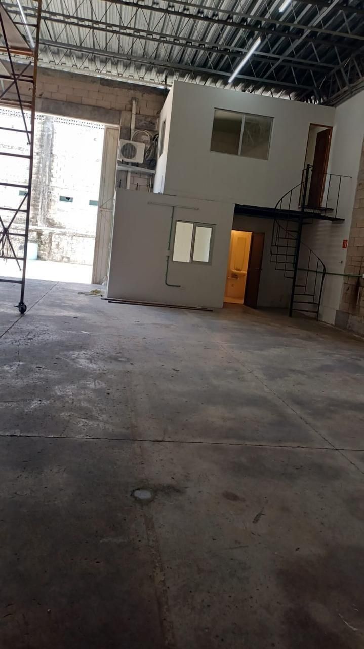 7 de 7
