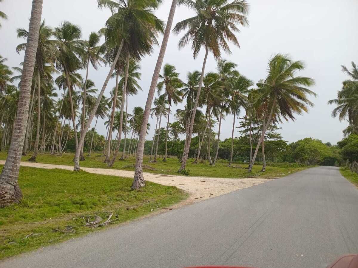 1 de 5