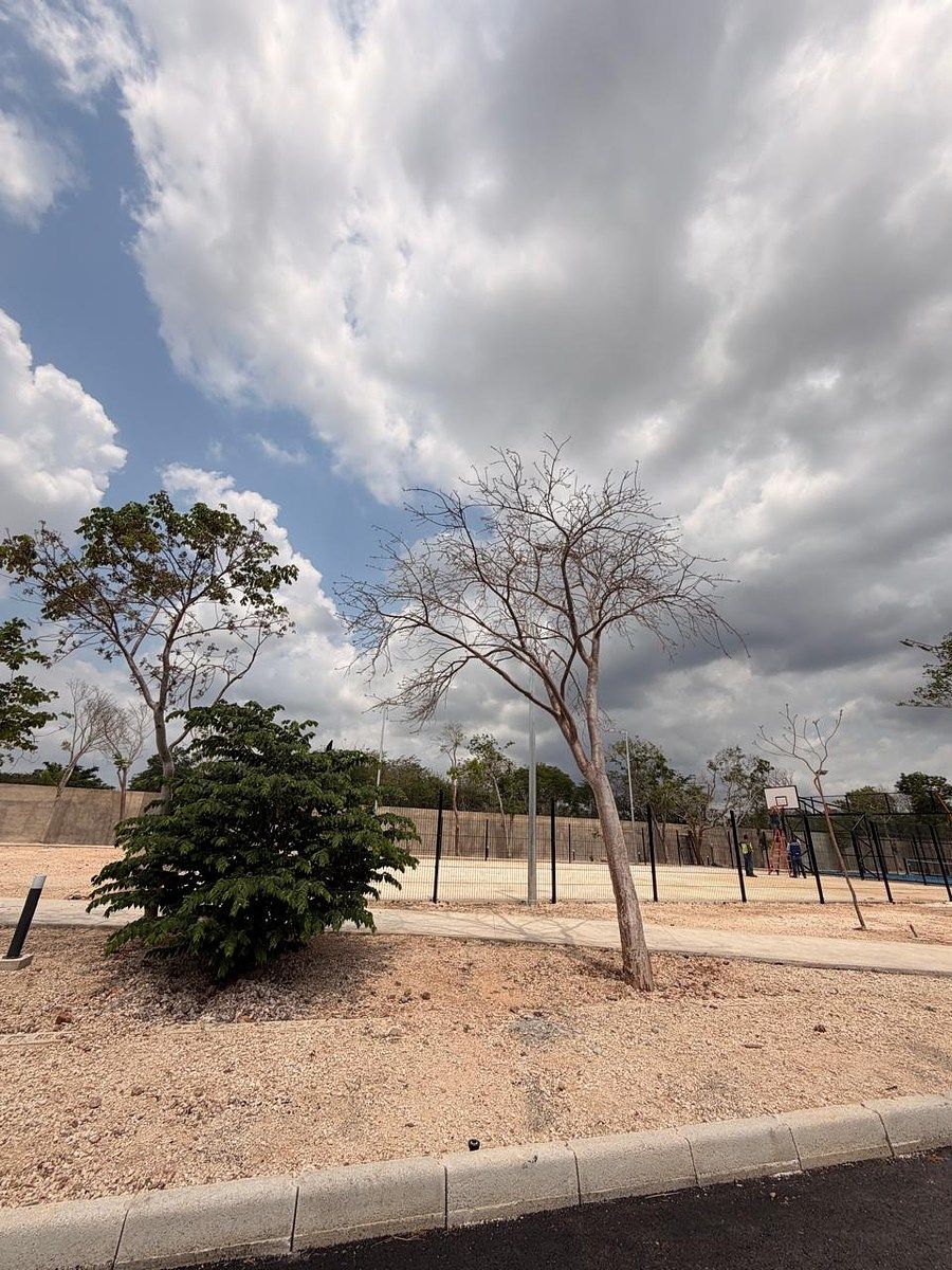 Lote em Cholul, Mérida, foto 3 de 14