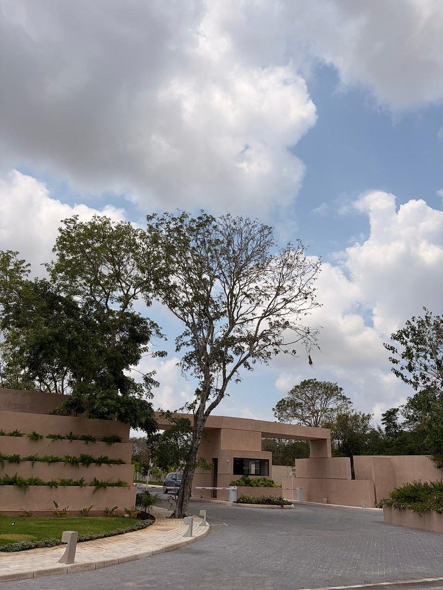 Lote em Cholul, Mérida, foto 4 de 14