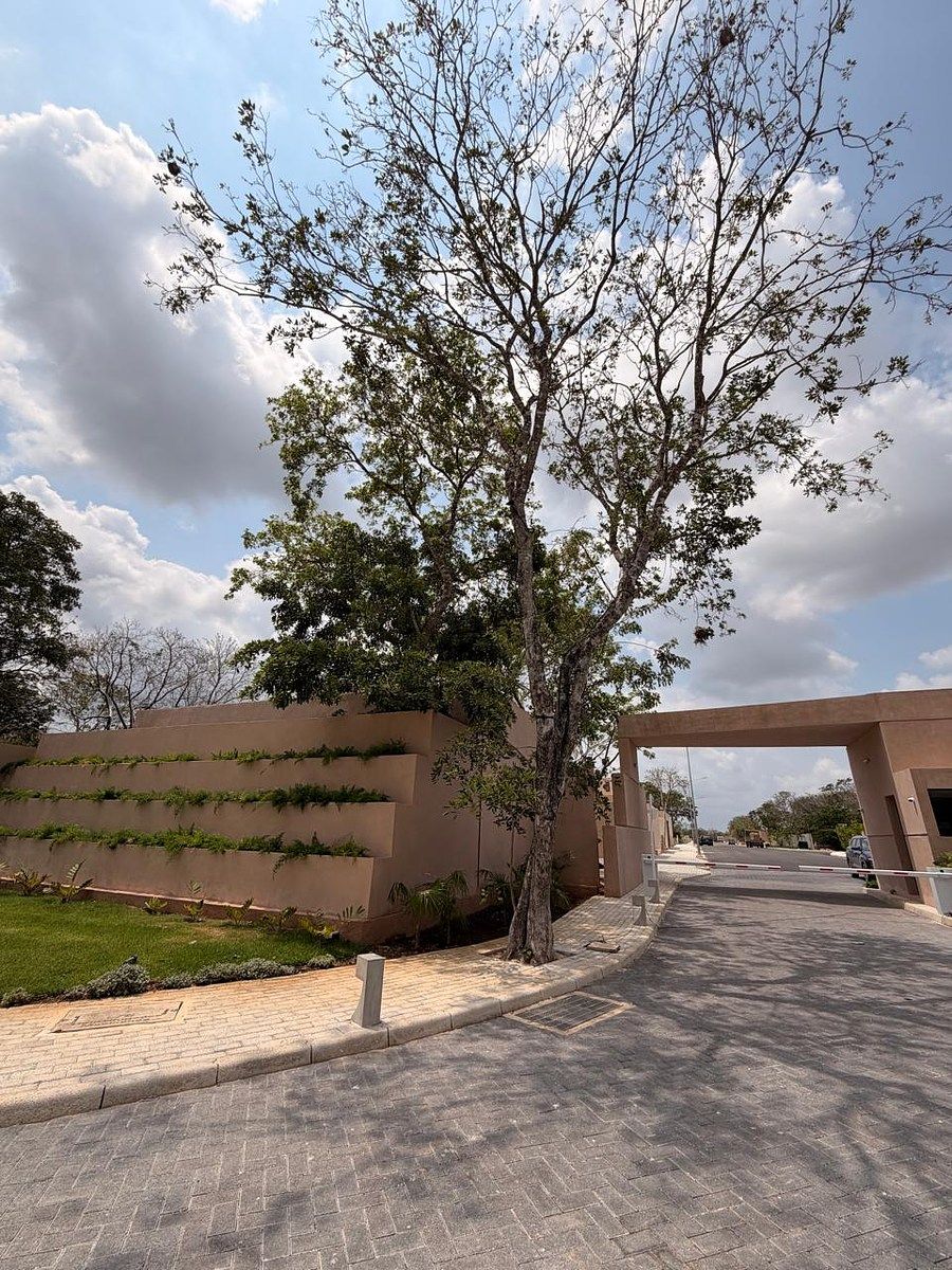 Lote em Cholul, Mérida, foto 2 de 14