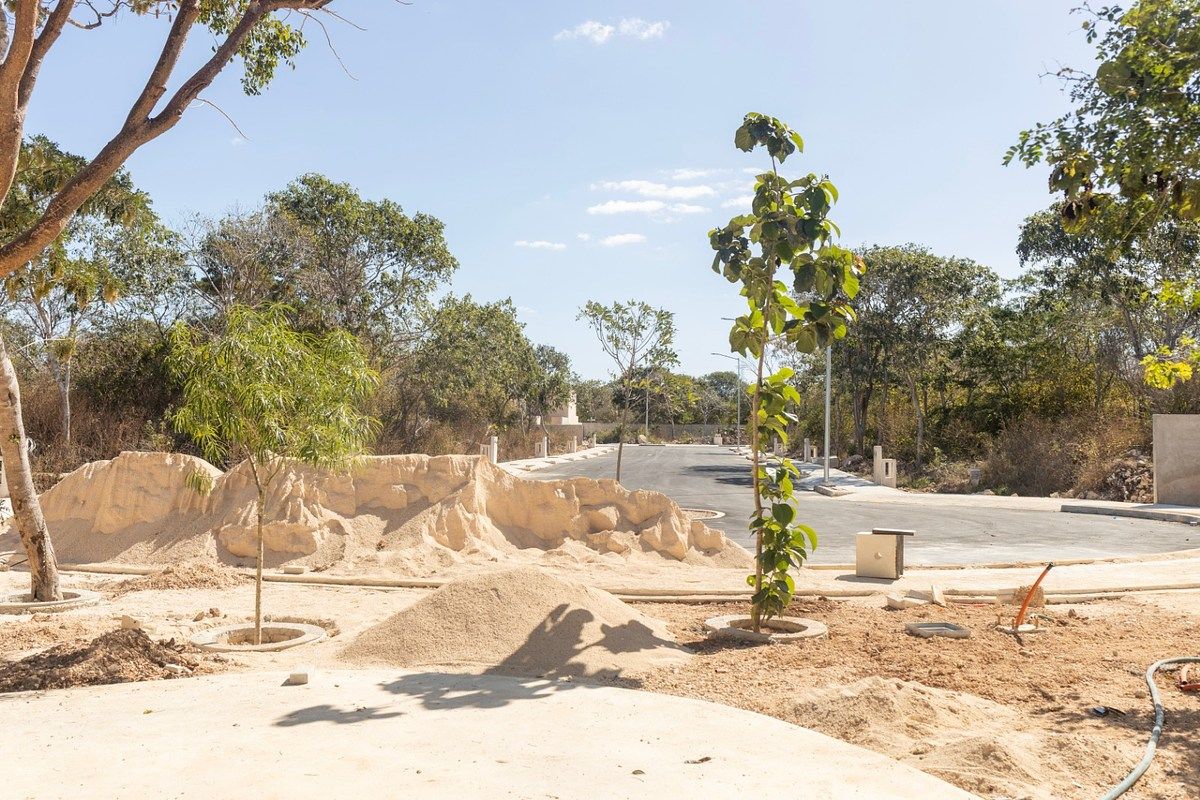 30 of 30: AVANCE 2026