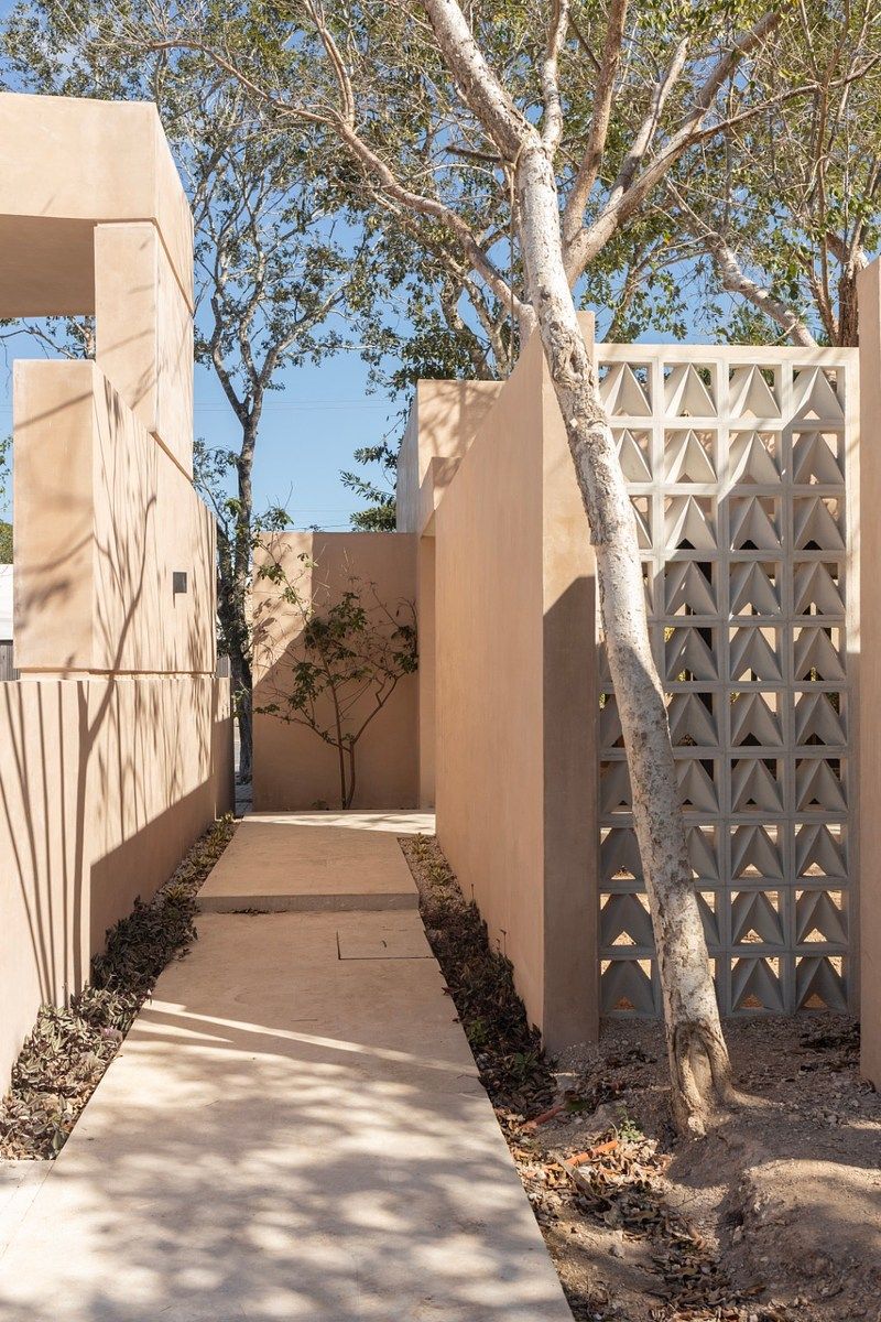 14 de 30: AVANCE 2026