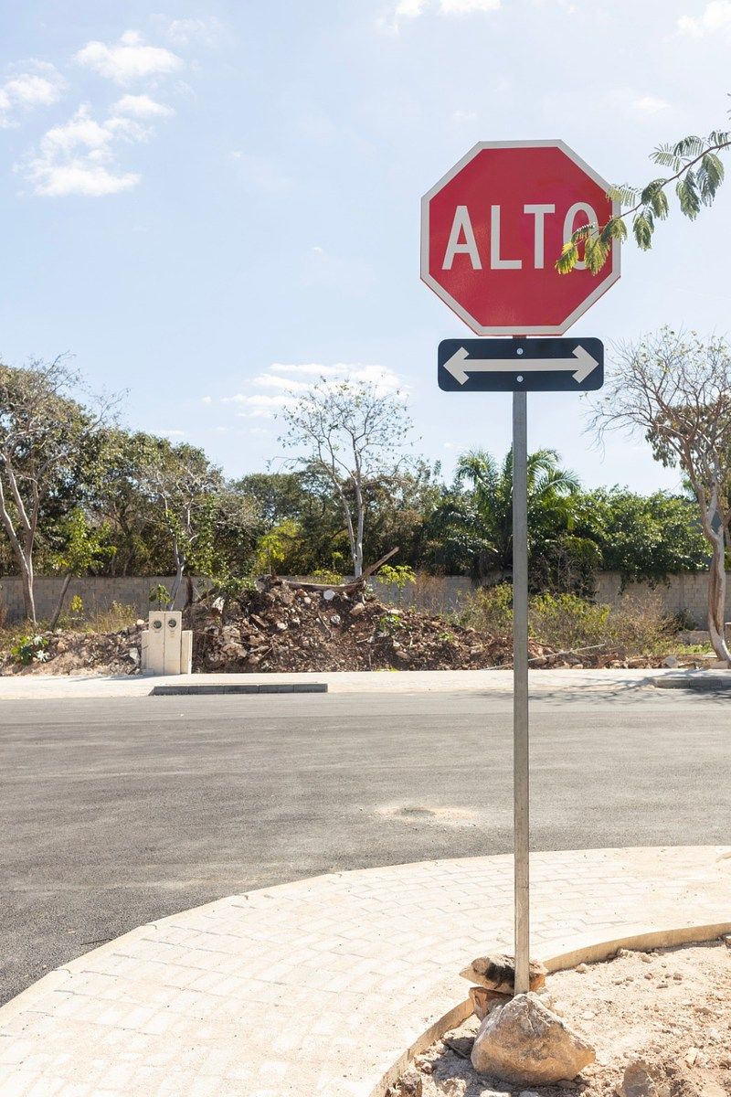 16 de 31: AVANCE 2026